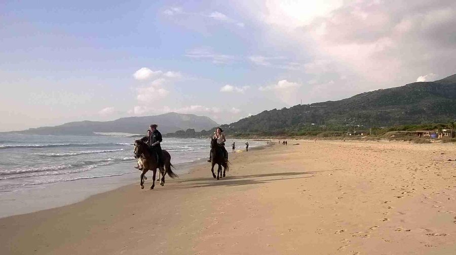 The beach at Los Lances