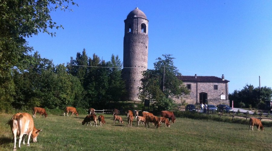 L'agriturismo Montagna Verde con le sue "bellezze"