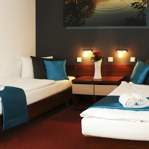 Superior  twin room