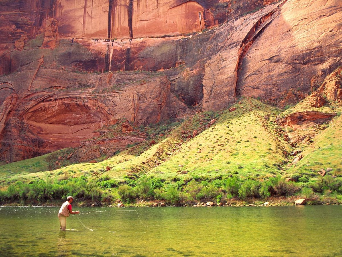 Fly Fishing The Colorado River at Lee's Ferry - blog