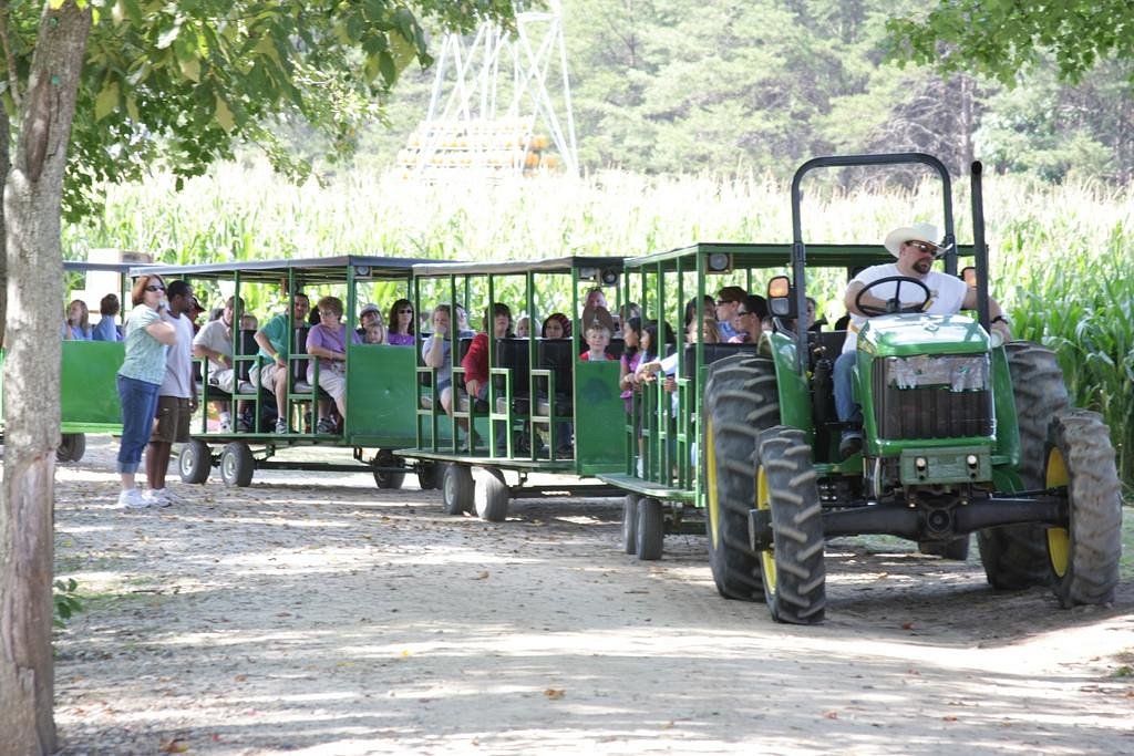 Kersey Valley Maize Adventure (Archdale) All You Need to Know BEFORE