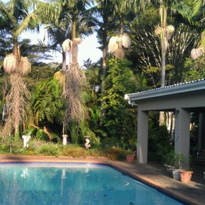 Pool area
