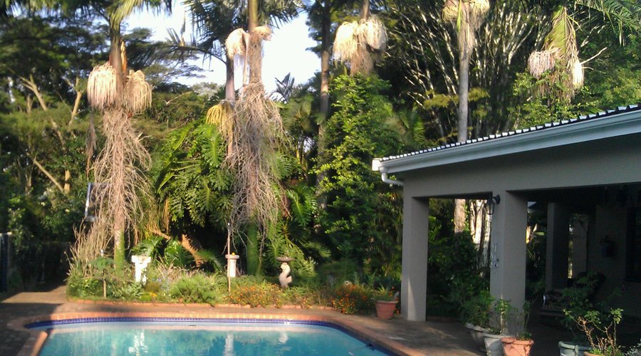 Pool area