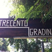 insegna lido