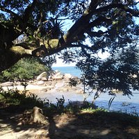 Praia Preto