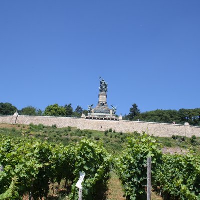 Die Top 10 Sehenswurdigkeiten In Rudesheim Am Rhein 2021 Mit Fotos Tripadvisor