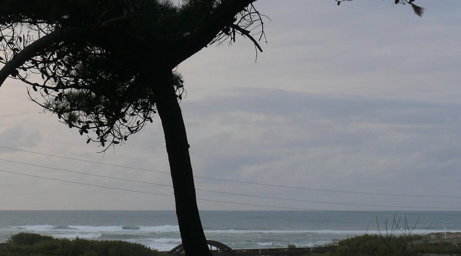 Vista do Parque para a Praia