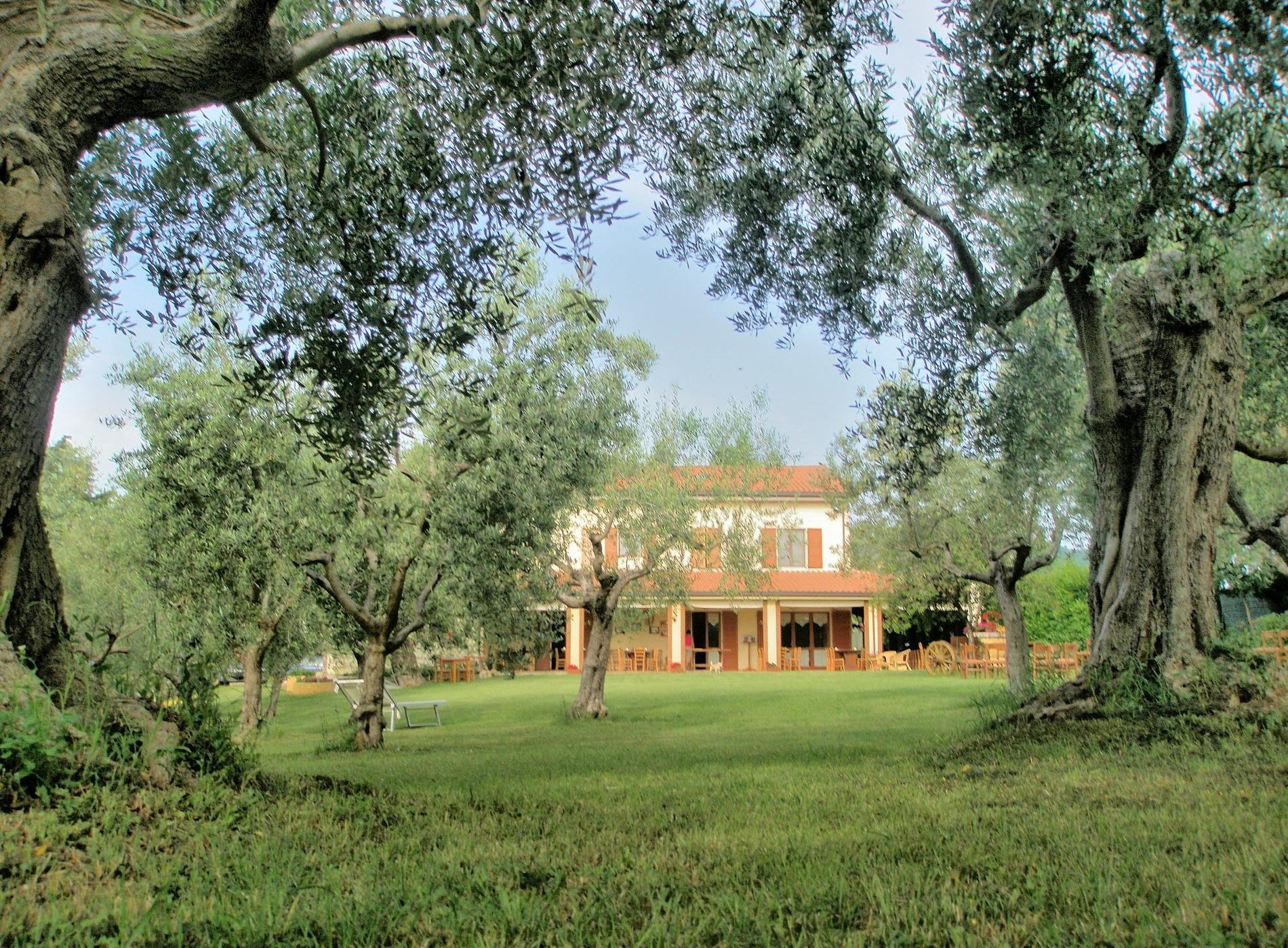 Agriturismo Il Vecchio Gelso image