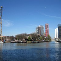 Wijnhaveneiland