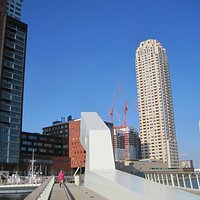 Rijnhavenbrug