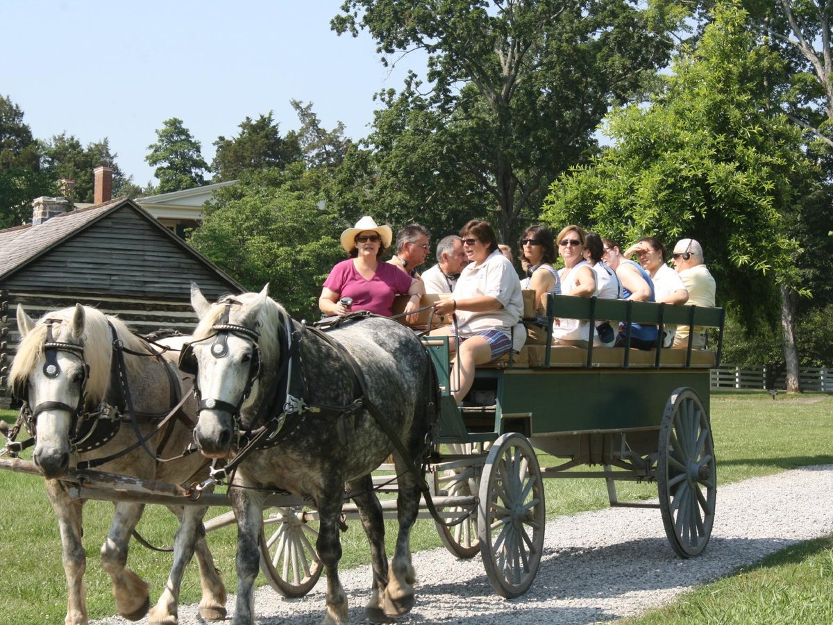 Carriage Rides Through Time - All You Need to Know BEFORE You Go (2024)