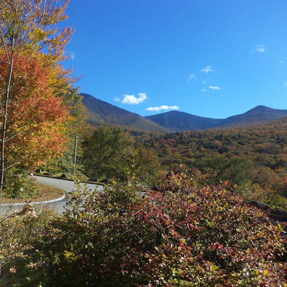 white mountain country club nh