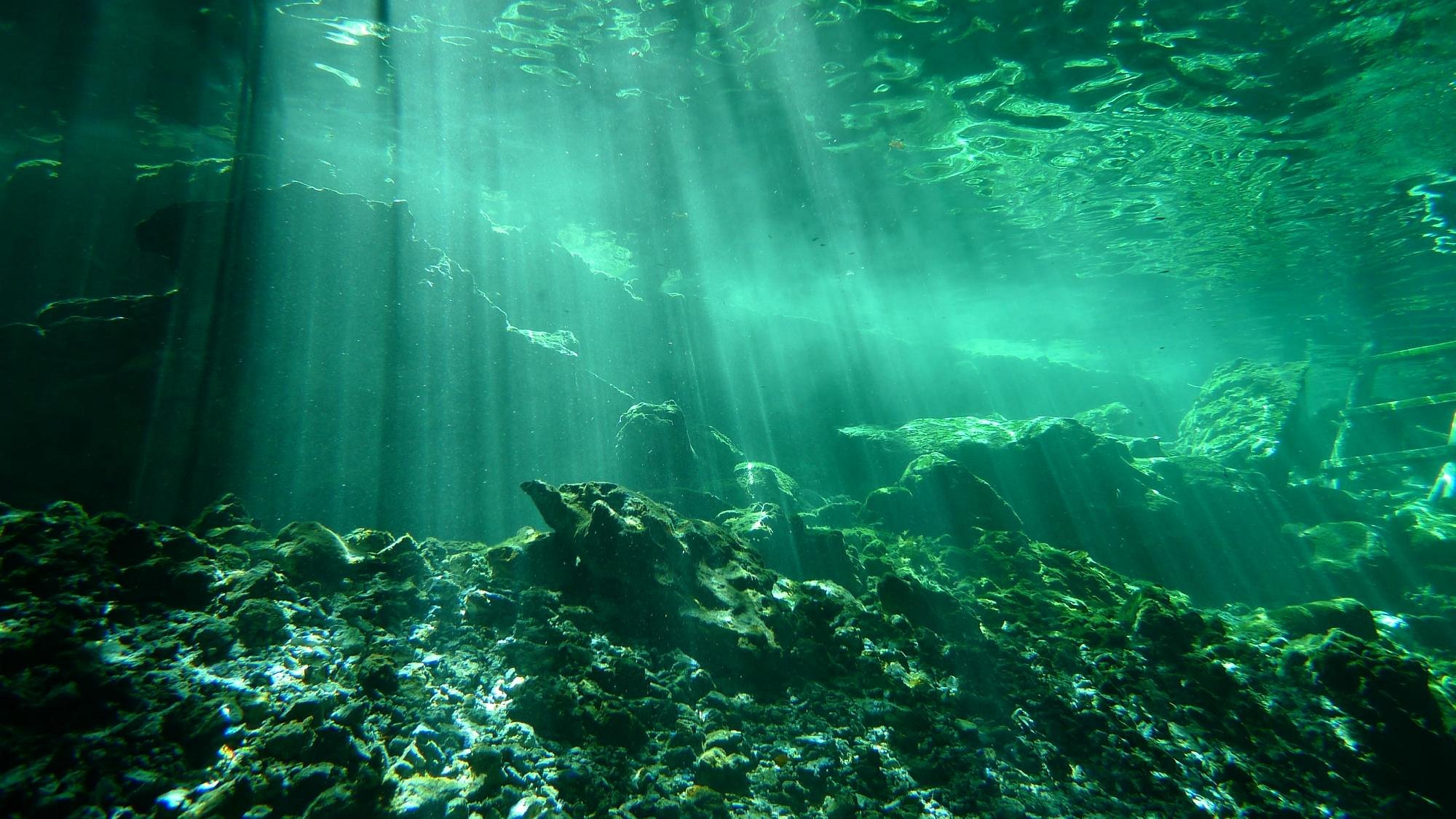 tulum diving centers