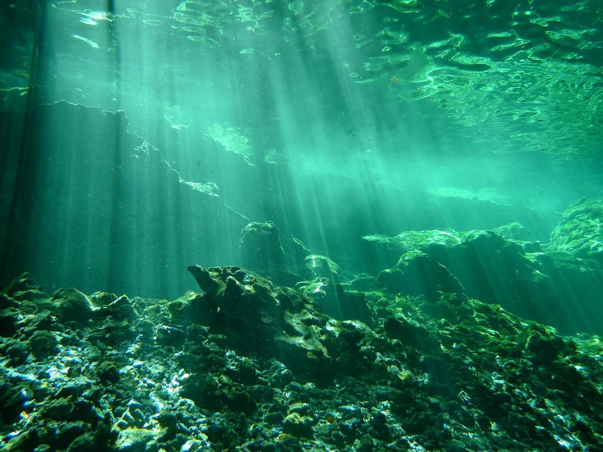 tulum diving center