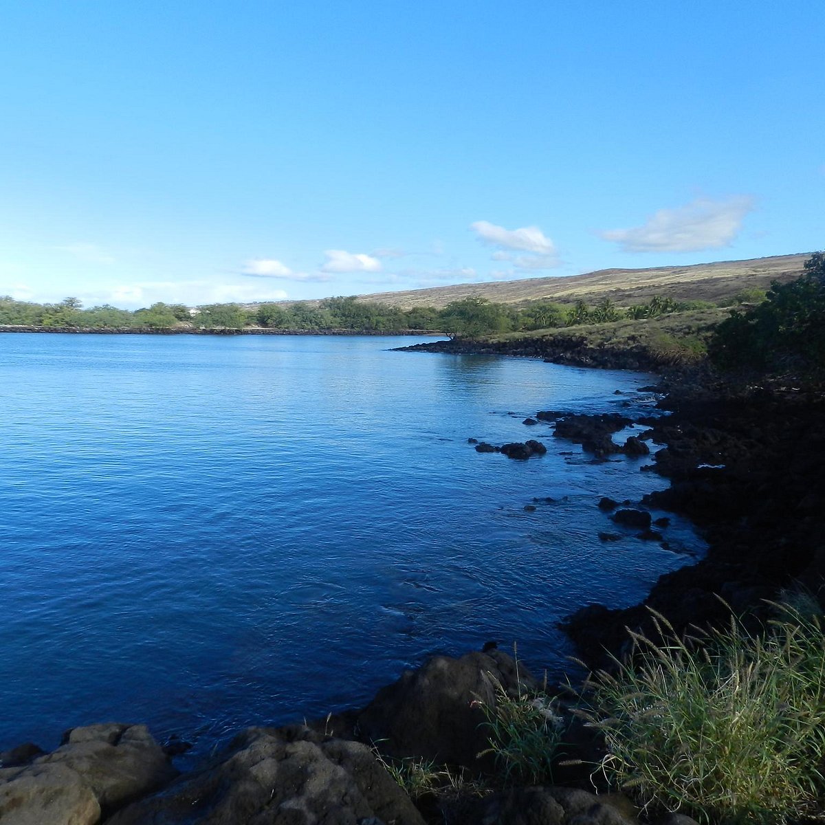 Spencer Beach Park (Waimea) - All You Need to Know BEFORE You Go 