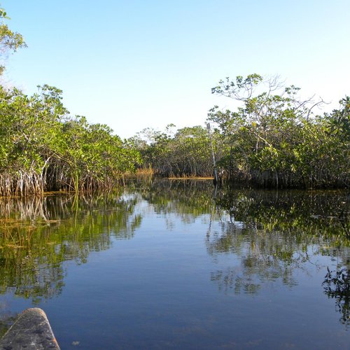 Nine Mile Pond Canoe Trail Map The 10 Best Things To Do In Everglades National Park, Everglades National  Park