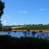 this winery is a hidden gem
