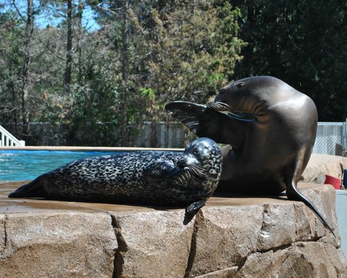 THE 10 BEST Zoos & Aquariums in Wisconsin (Updated 2024)