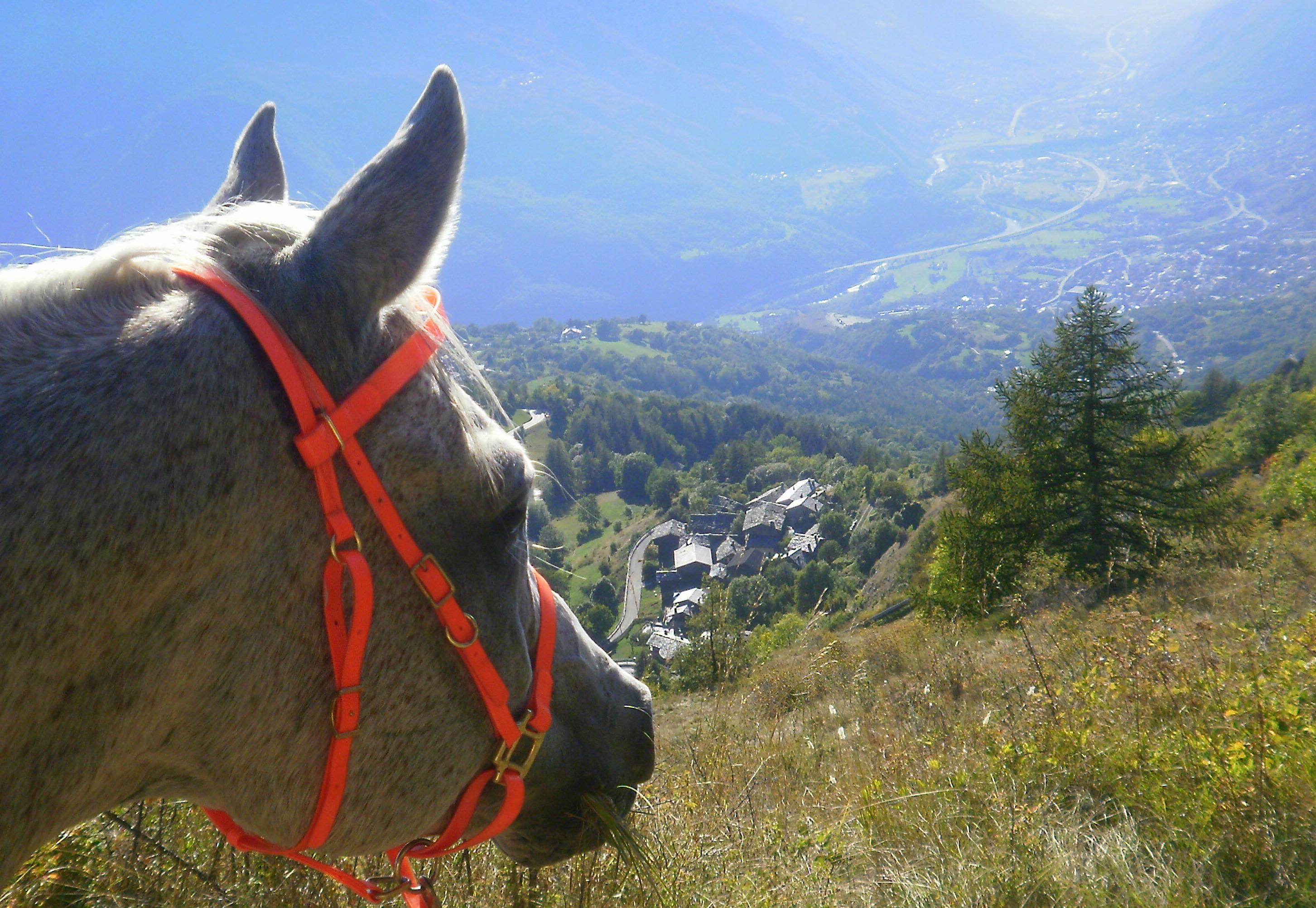 イタリアの乗馬ツアー: イタリアの 10 件の乗馬ツアーをチェックする