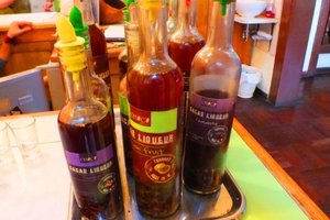 Bebidas