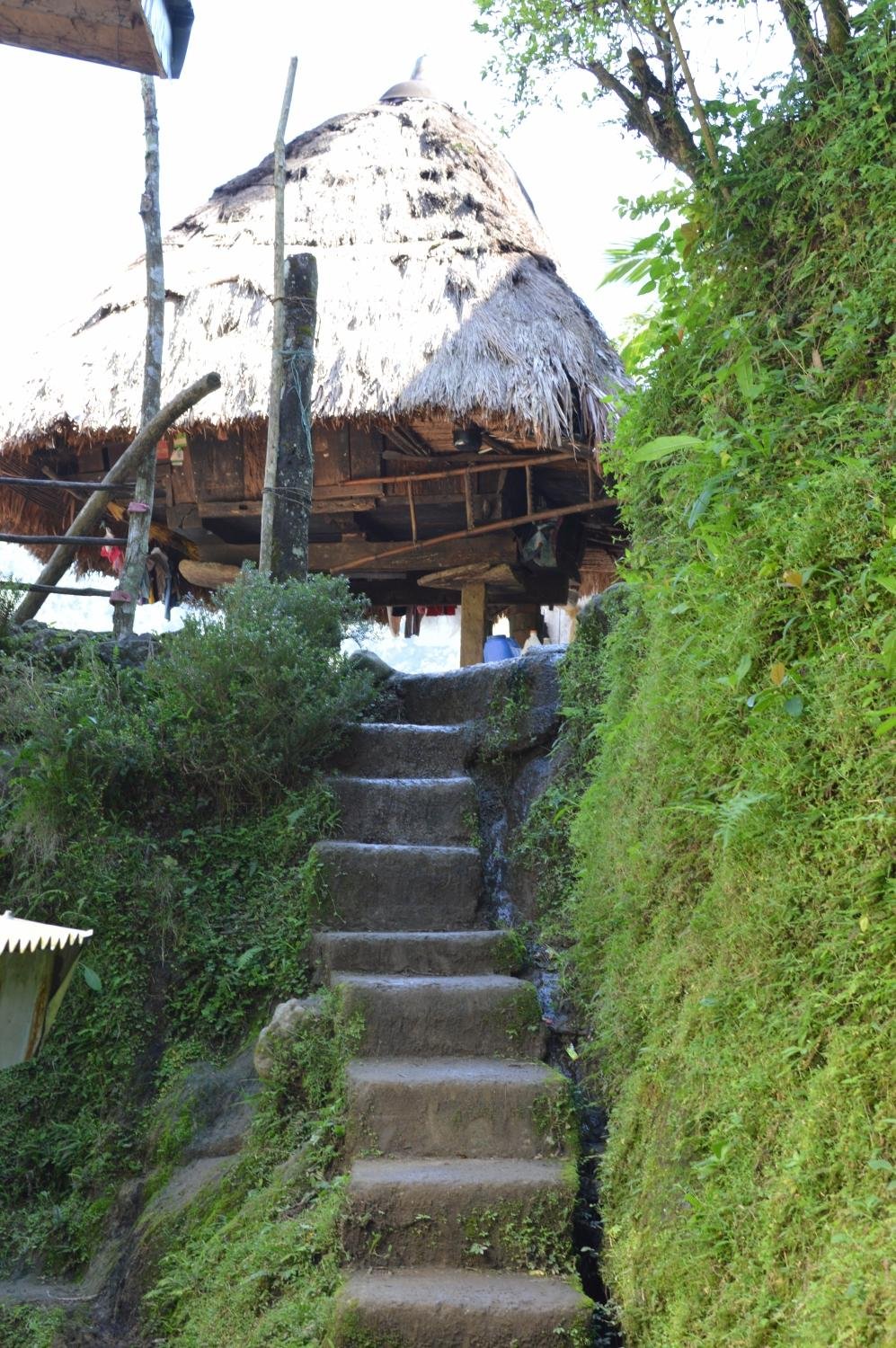 Ramon's Native Homestay Hiking: Pictures & Reviews - Tripadvisor