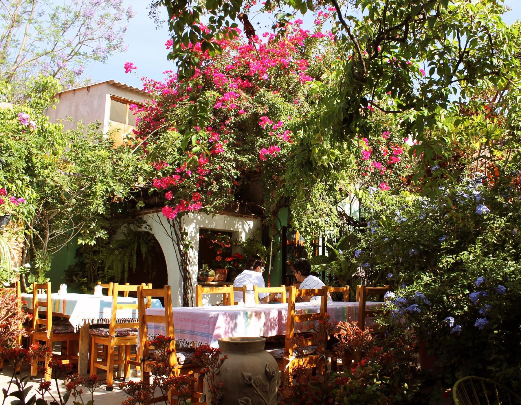 Hotel Las Golondrinas by null