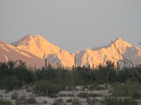 Cabeza Prieta National Wildlife Refuge (Ajo) - All You Need to Know BEFORE  You Go