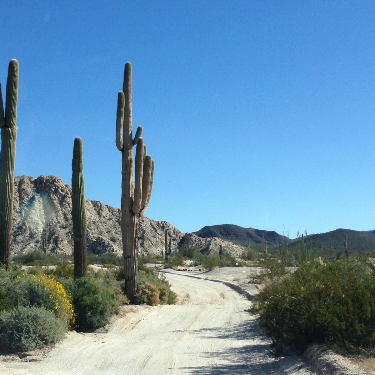 Total 66+ imagen cabeza prieta national wildlife refuge administration office and visitor center