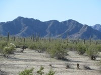 Cabeza Prieta National Wildlife Refuge (Ajo) - All You Need to Know BEFORE  You Go