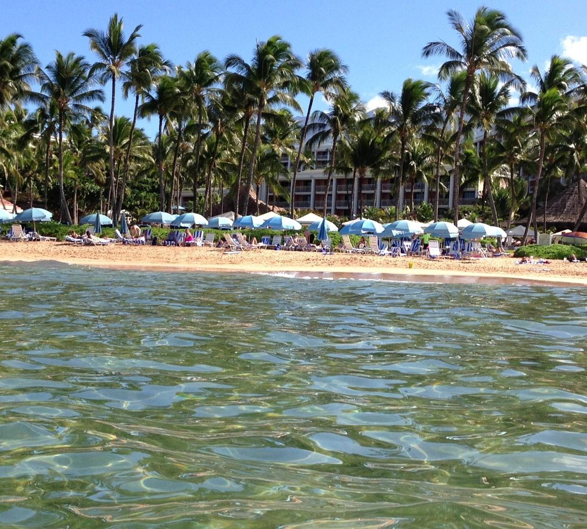 Grand Wailea Beach All You Need To Know Before You Go 2024