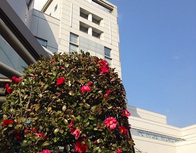 winter, outside　冬の建物外観