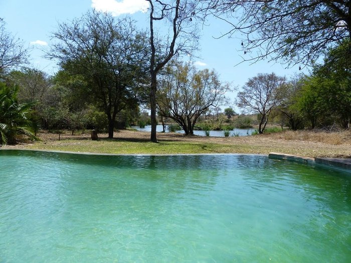 Tanda Tula Safari Camp Pool: Pictures & Reviews - Tripadvisor