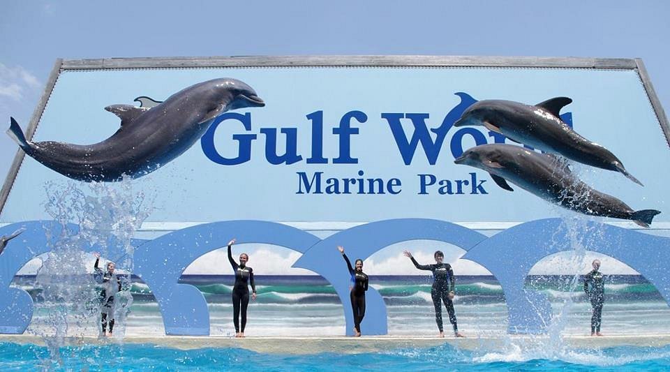 Gulf World Marine Park - All You Need to Know BEFORE You Go (2024)