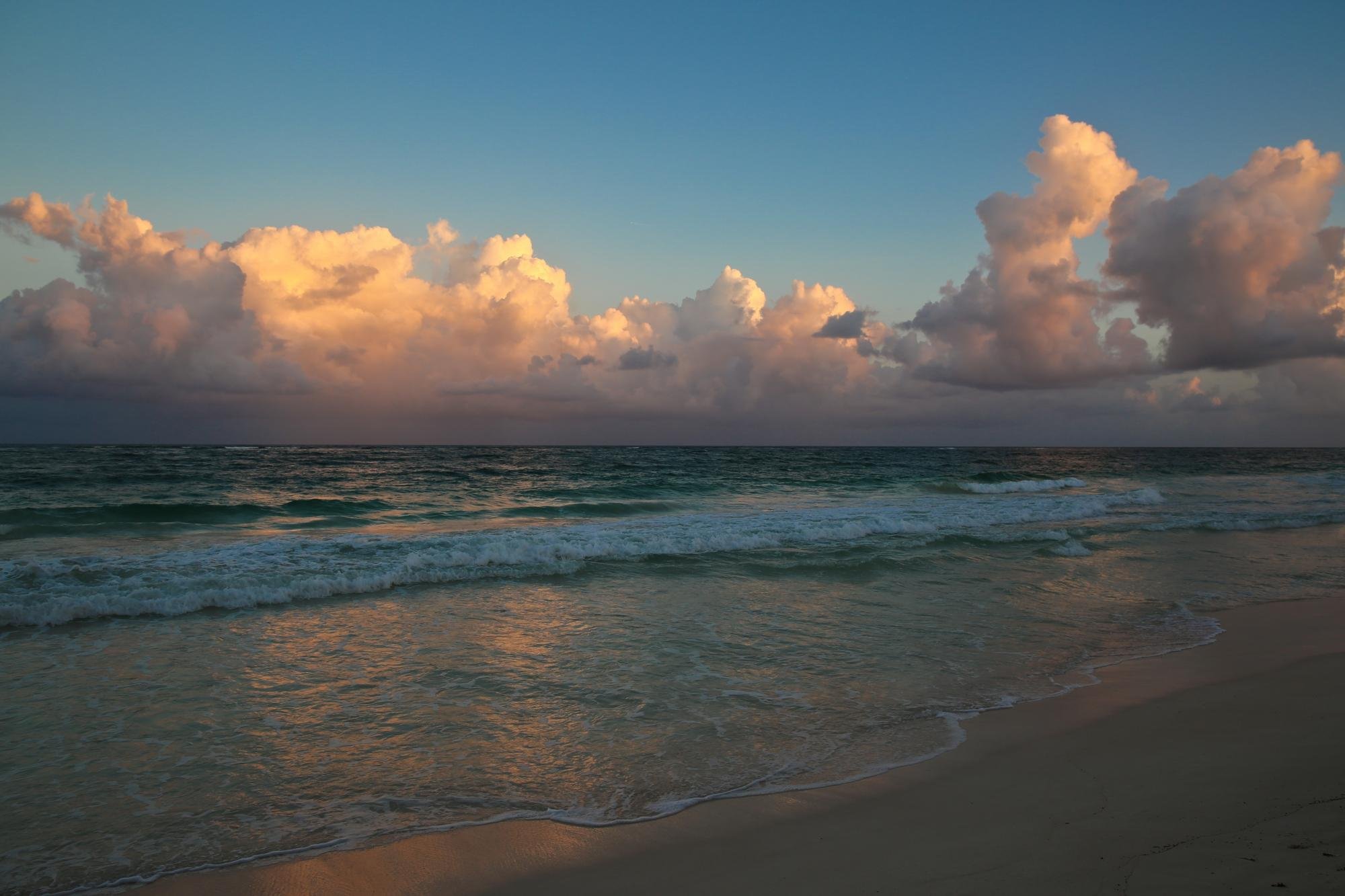 Olas Tulum by Google