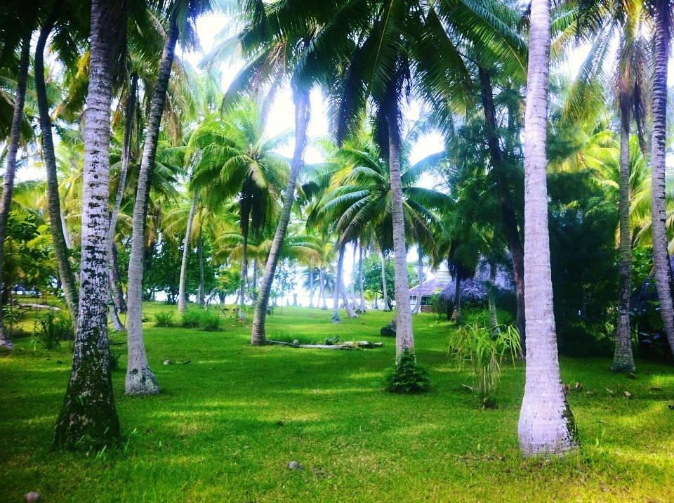 Blue Heaven Island, hotell i Bora Bora