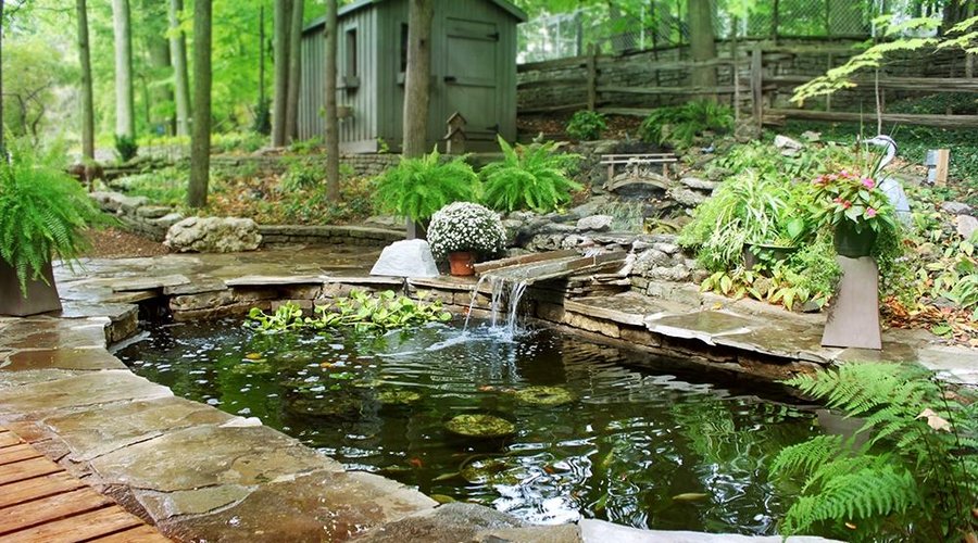 Our New Koi Pond