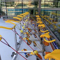 Cours Aquacycling / Aquagym / Longe Cote