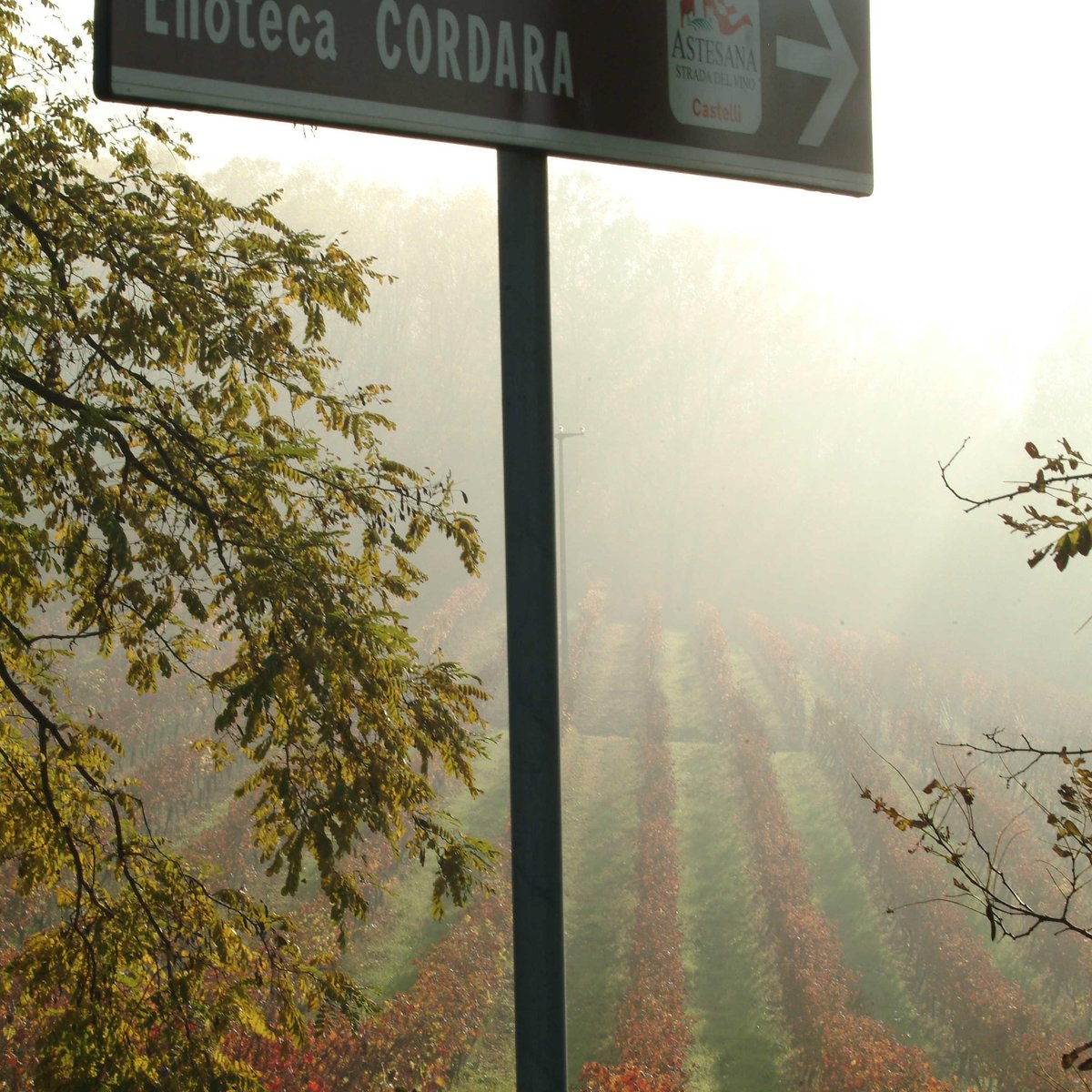 CORDARA VINI AZIENDA VITIVINICOLA (2025) All You Need to Know BEFORE ...