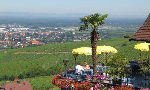 Phantastische Aussicht ins Rheintal und zu den Vogesen in Frankreich