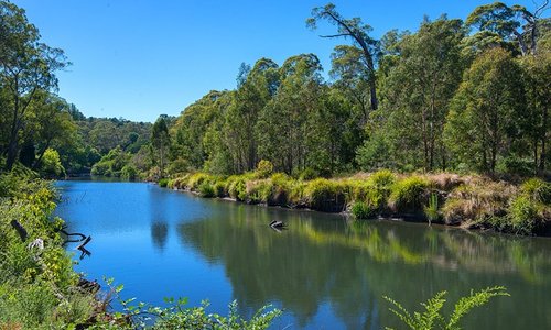 Berrima Motel - River