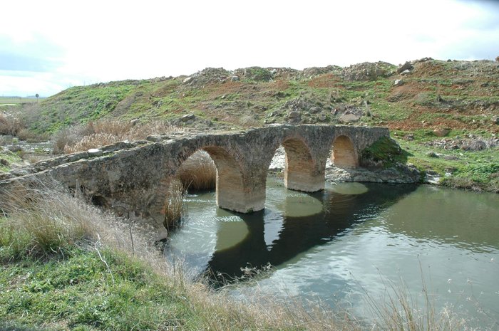 Puente medieval