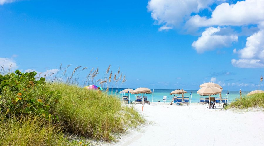 Siesta Key Beach was rated the #1 beach in the nation by Dr. Beach. 99% quartz white sugar-like 