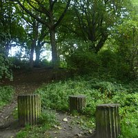 Heaton Park