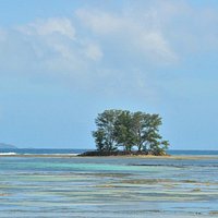 Anse La Reunion