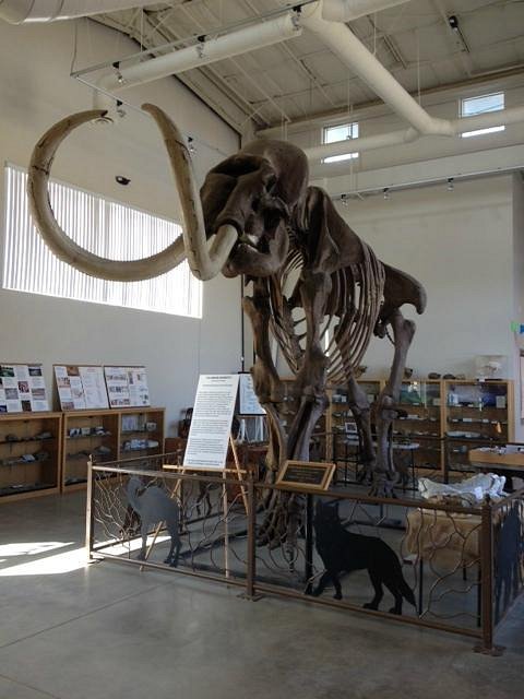 Fossil Discovery Center (Chowchilla) - All You Need to Know BEFORE You Go