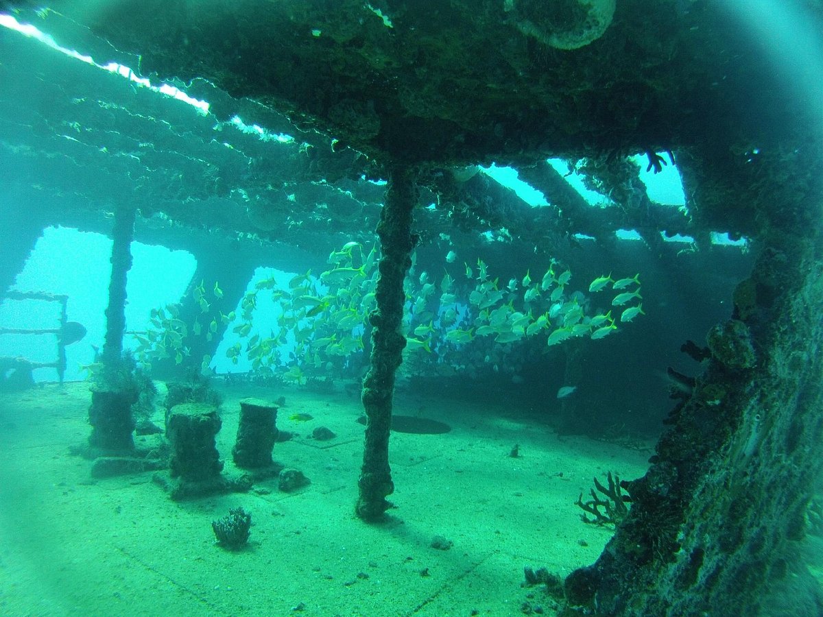 playa del carmen diving sites