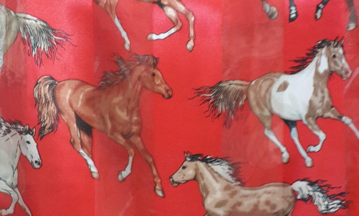 Caballo Loco Boutique - Ciudad Colon - Caballo Loco Boutique의 리뷰 - 트립어드바이저