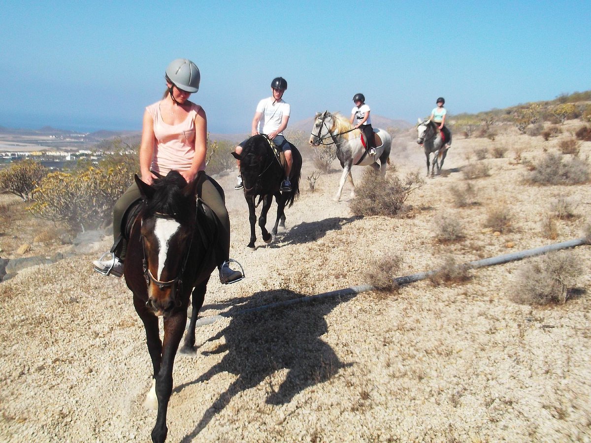 Perth Blackborough detergente Frugal Centro hípico Horse Riding Adventures in Tenerife (San Miguel de Abona) -  2023 Qué saber antes de ir - Lo más comentado por la gente - Tripadvisor