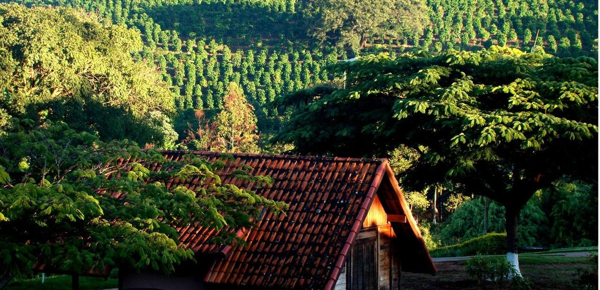 Farm Stay Fazenda Betânia, Iraci, Brazil 