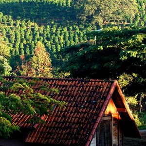 Construídos em madeira e alvenaria, os 22 chalés têm 24m²